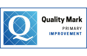 Quality Mark Primary Improvement
